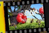 Image'n'Nation: Die Welt der Ameisen von Andrej Pawlow